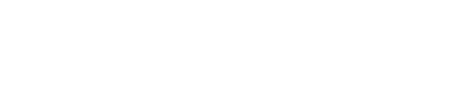 Bolnick Tax Group LLC